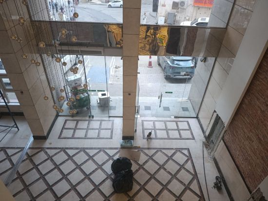 10 Günlük - YÜRÜME - 23 Ocak 2027 Sömestr Umresi